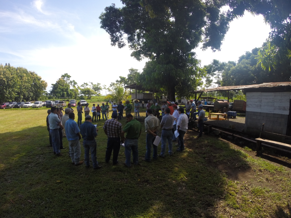Natural Rubber Farm Visit Guatemala