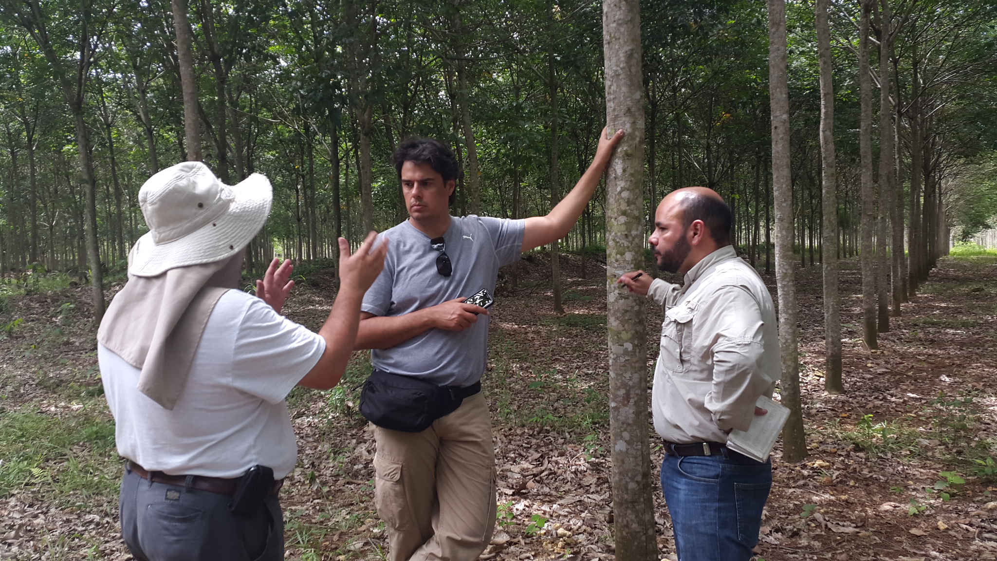 Natural Rubber Consultant